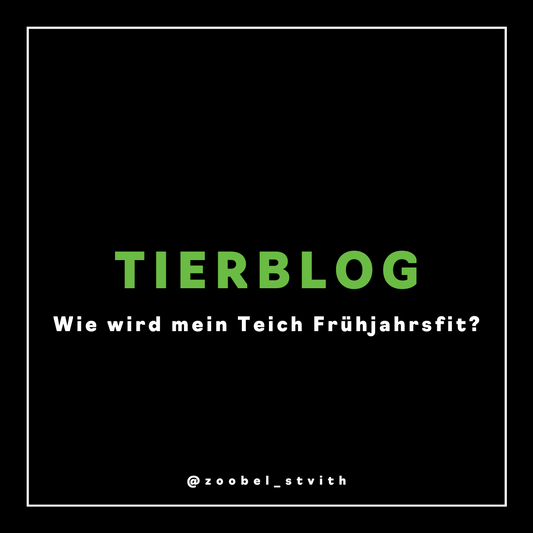 Wie wird mein Teich Frühjahrsfit?